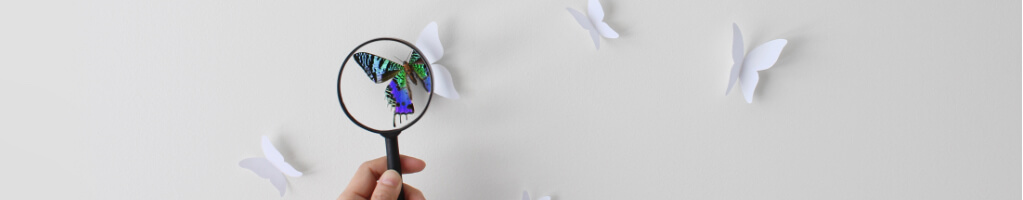 Magnifying glass